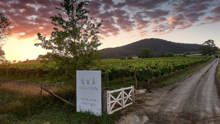 Yarra Yerring特色 Yarra Yering3 768x432